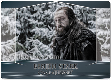 Benjen Stark GOLD Valyrian Steel Expansion Parallel Metal card