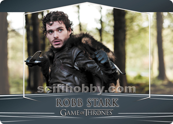 Robb Stark Metal Character card
