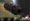 Click for larger version