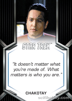 Commander Chakotay Expressions of Heroism