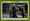 Game of Thrones Inflexions Expansion Set  Card number 175