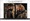 Game of Thrones Relationships  Card number DL66