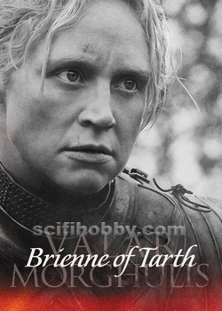 Brienne of Tarth Valar Morghulis