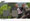 James Bond Skyfall Relics Card number SCDC2