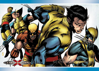 Wolverine X-Men Evolution