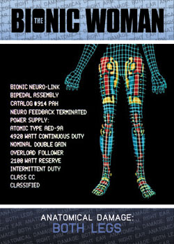 Anatomical Damage: Both Legs Box Topper