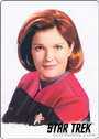 Star Trek Inflexions: Starfleet’s Finest