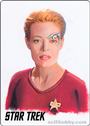 Star Trek Inflexions: Starfleet’s Finest