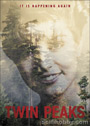 Twin Peaks Trading Cards